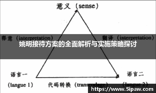 姚明接待方案的全面解析与实施策略探讨